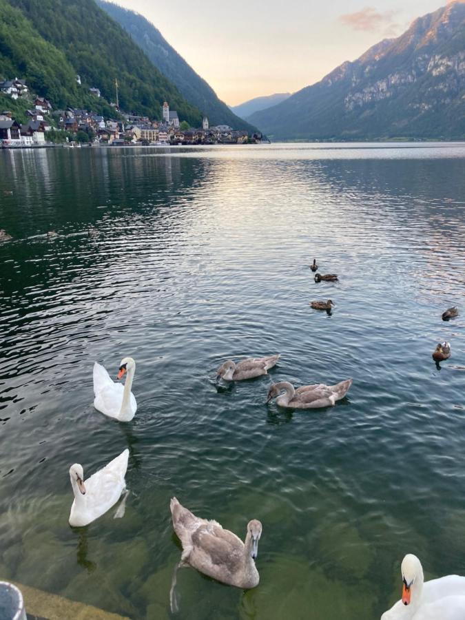 Hallstatt Lakeside Top 4 - Zimmer Mit Balkon Εξωτερικό φωτογραφία